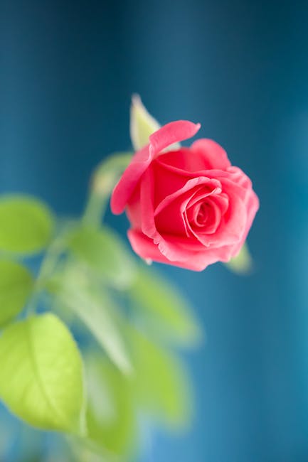 Unlocking Fresh Fashion Trends and Style Inspiration